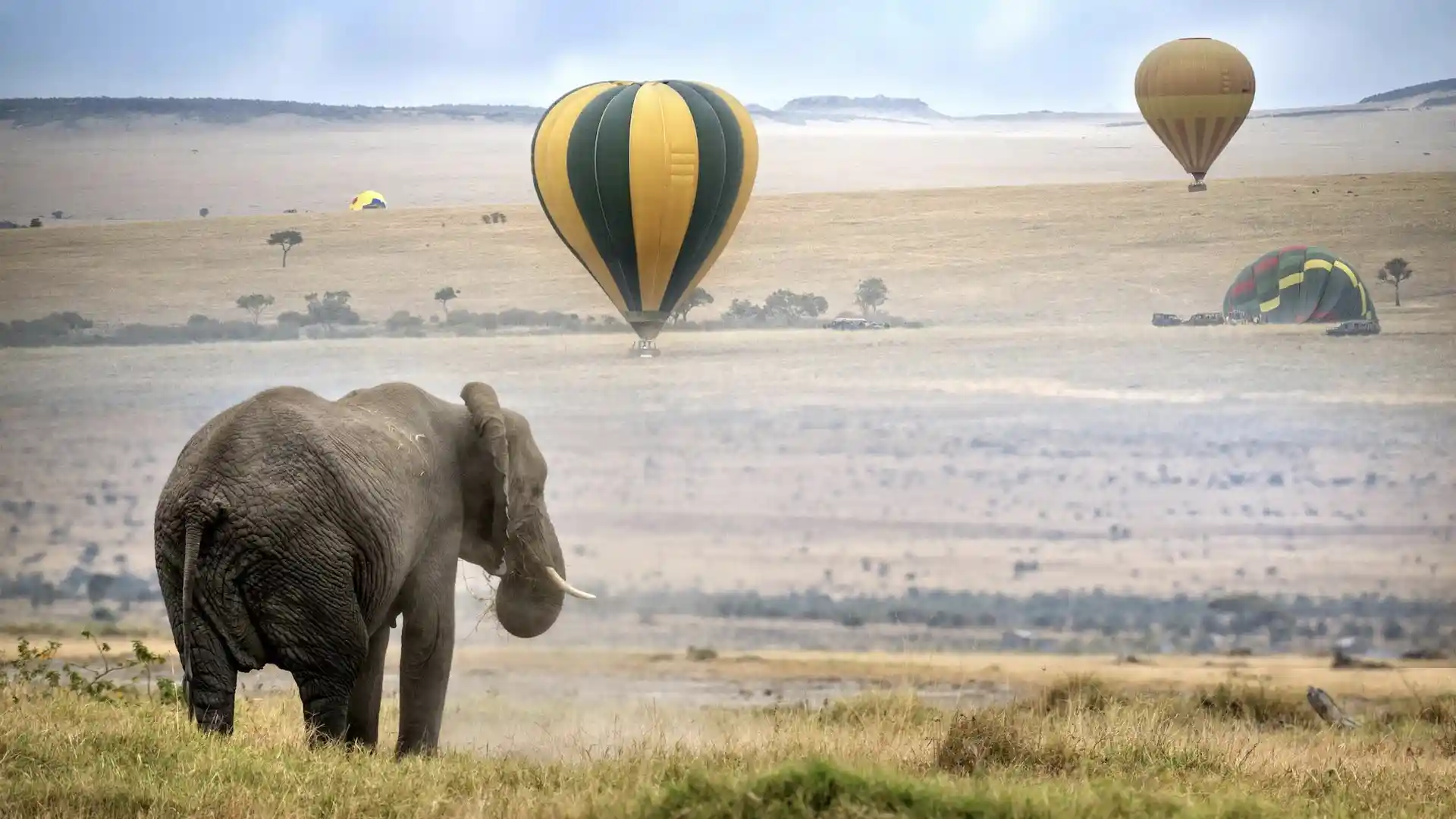 Cómo es el mejor safari del mundo en globo sobre el Serengueti o Masai Mara