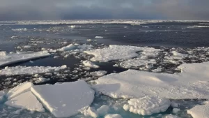 La Antártida perdió una cantidad de hielo similar al tamaño de Argentina