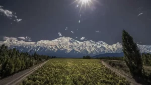 Argentina, España y Chile tienen los mejores viñedos del mundo 2023