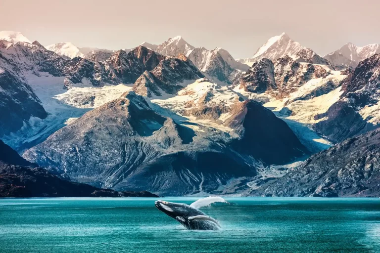 Así serán los cruceros para viajar por Alaska en 2025 de Oceania Cruises