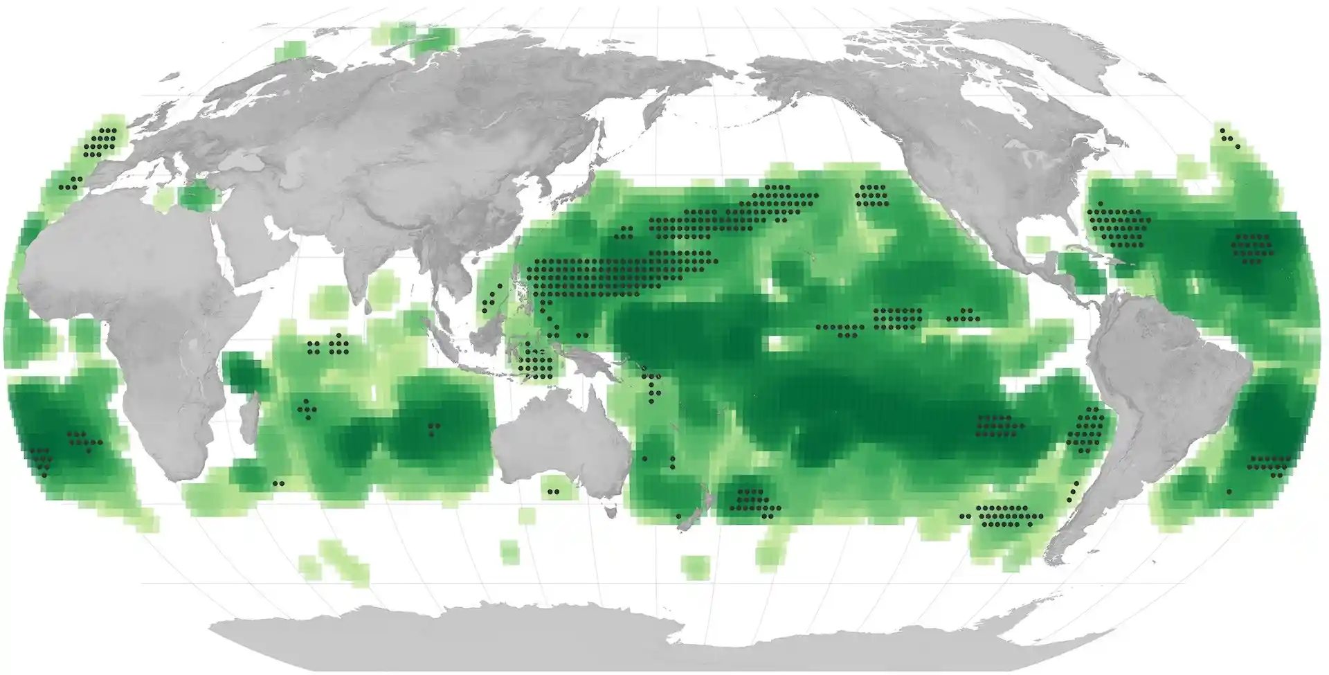 Por el cambio climático los océanos tienen otro color: de azul a verde