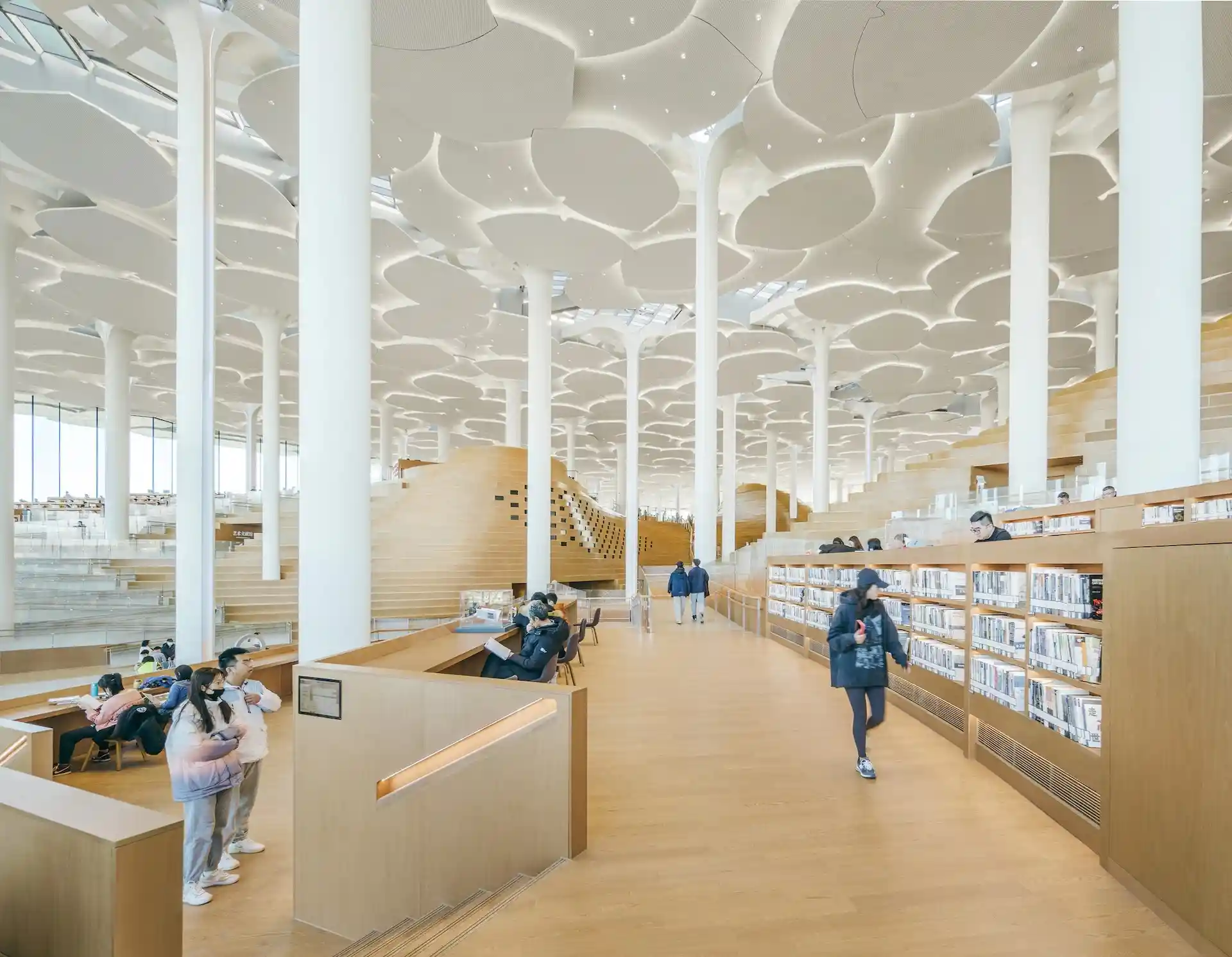 Así es la nueva biblioteca más moderna del mundo en 2024. ¿Dónde está?