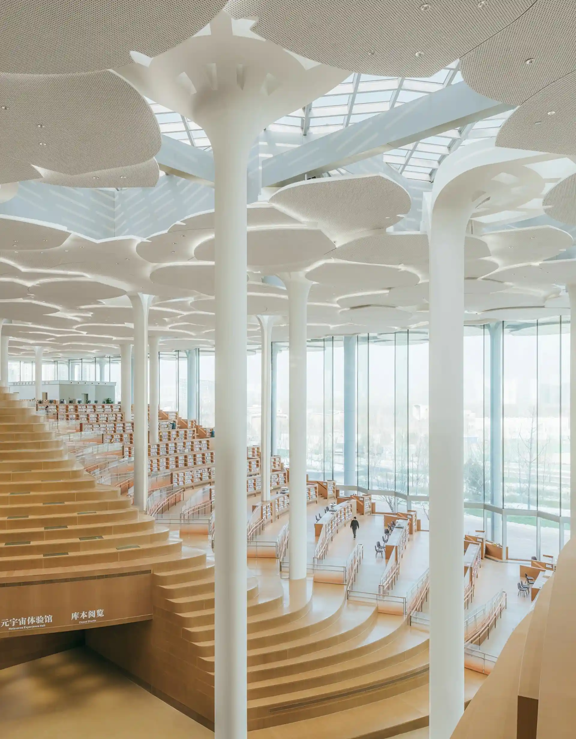Así es la nueva biblioteca más moderna del mundo en 2024. ¿Dónde está?