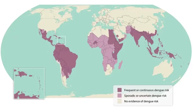 Los países con más riesgos de contraer dengue: mapa y preguntas