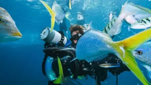 Consejos y dónde hacer buceo en Colombia