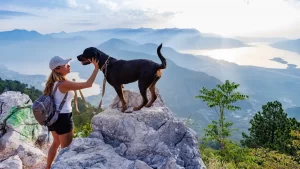 Las mejores ciudades pet friendly de Estados Unidos para vacaciones