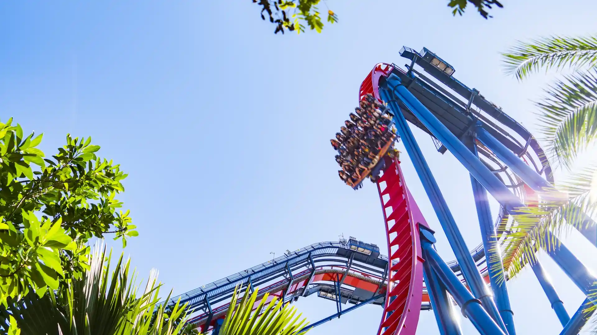 Lanzan tickets en SeaWorld y Busch Gardens en 2024 con comida gratis