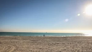 ¿Primera vez en Miami? Qué lugares visitar