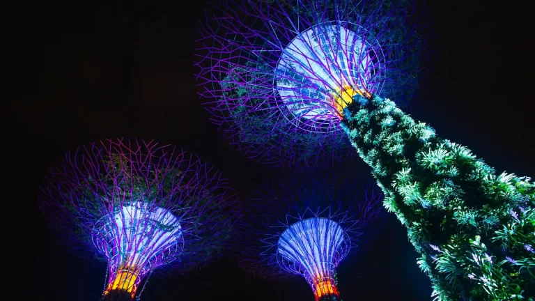 El pasaporte más poderoso de 2024 es el de Singapur