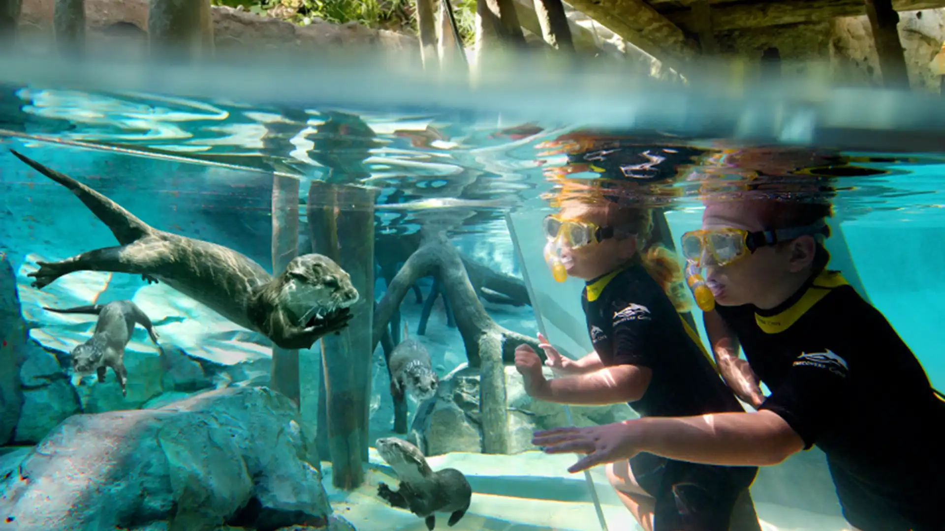 Los parques de United Parks en Orlando y Tampa: emoción y naturaleza