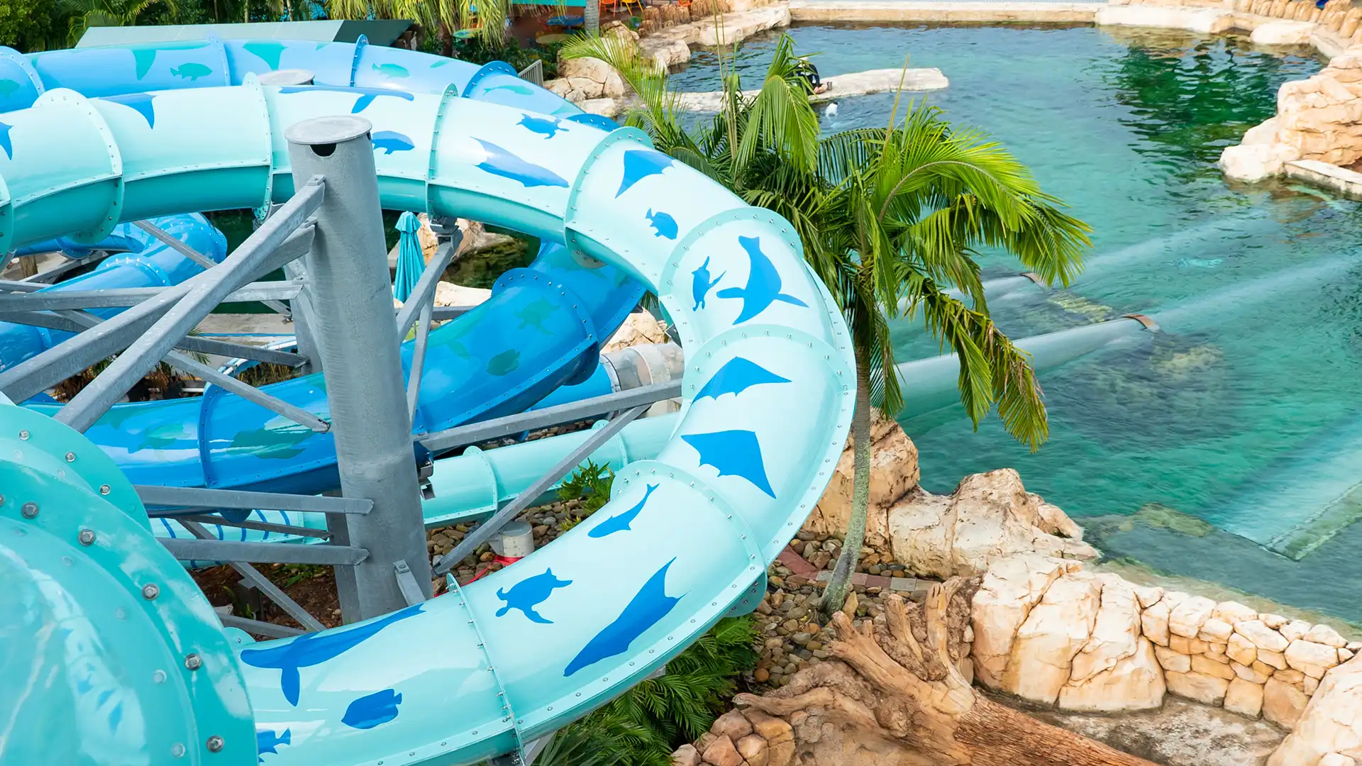 Los parques de United Parks en Orlando y Tampa: emoción y naturaleza