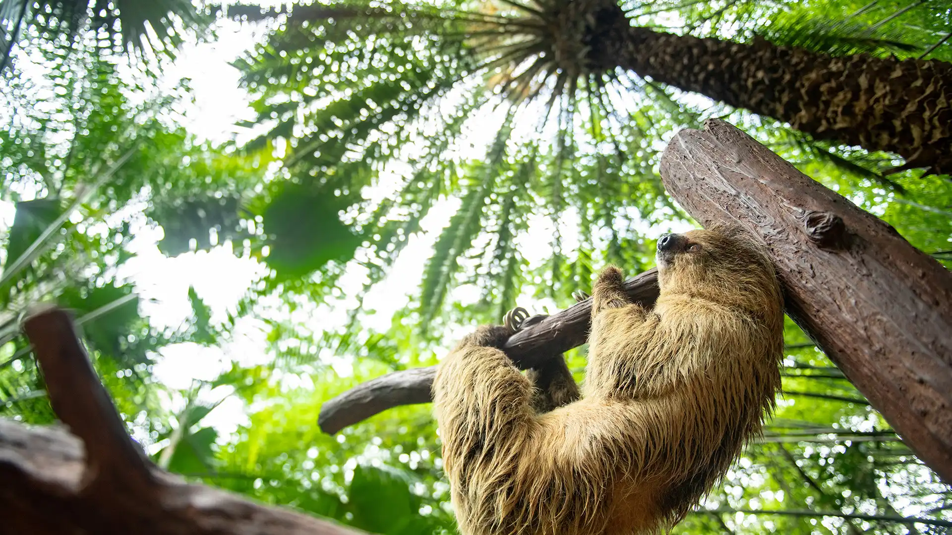 Los mejores parques temáticos de Florida para vivir la naturaleza