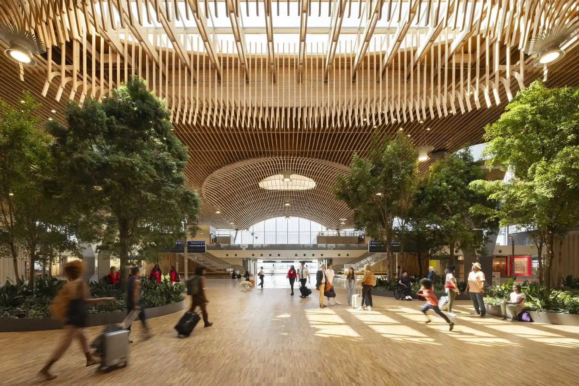 PDX: este es el aeropuerto de madera más grande del mundo