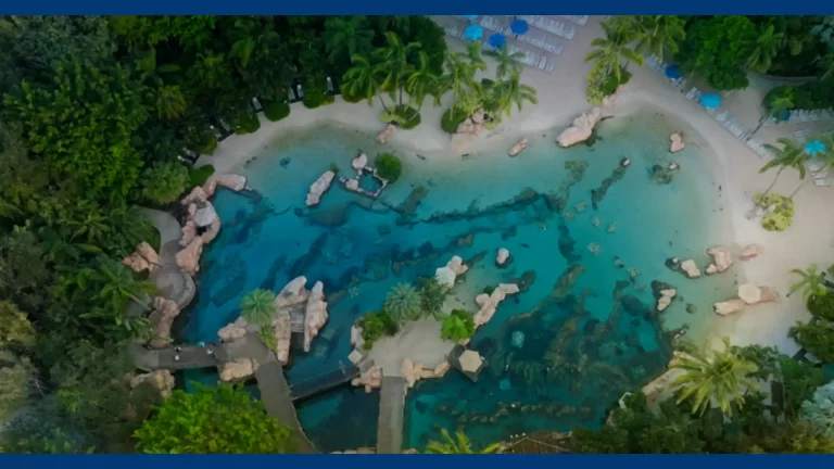 Por qué visitar Discovery Cove: experiencias para amantes del agua y la fauna