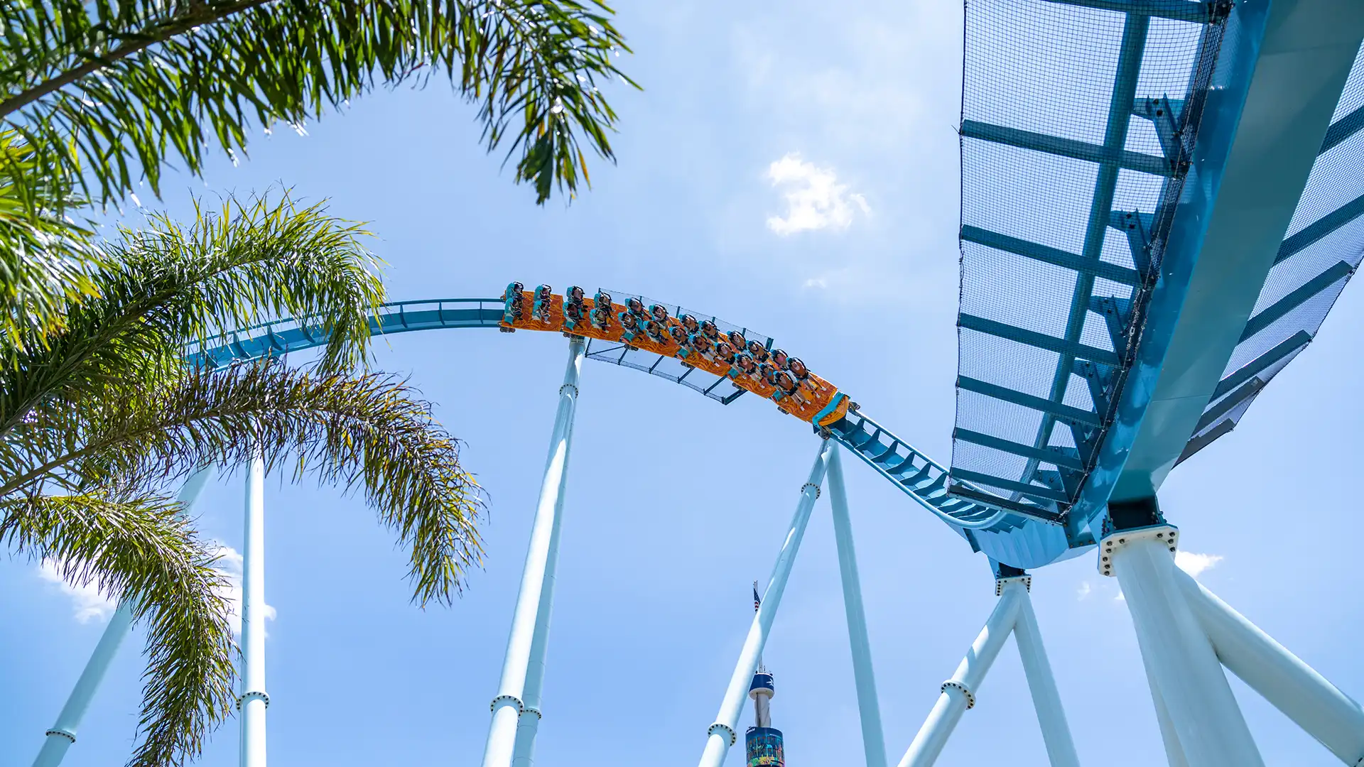 Visitando SeaWorld Orlando: más allá de las atracciones, ¿qué ver y hacer?