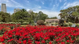 5 lugares para disfrutar de la flora en Argentina