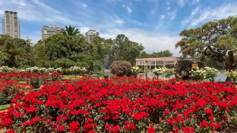 5 lugares para disfrutar de la flora en Argentina