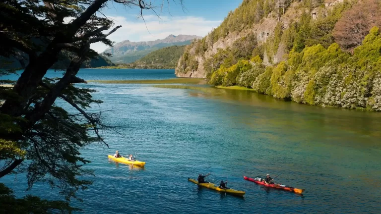 Imperdibles en un viaje por el Parque Nacional Los Alerces