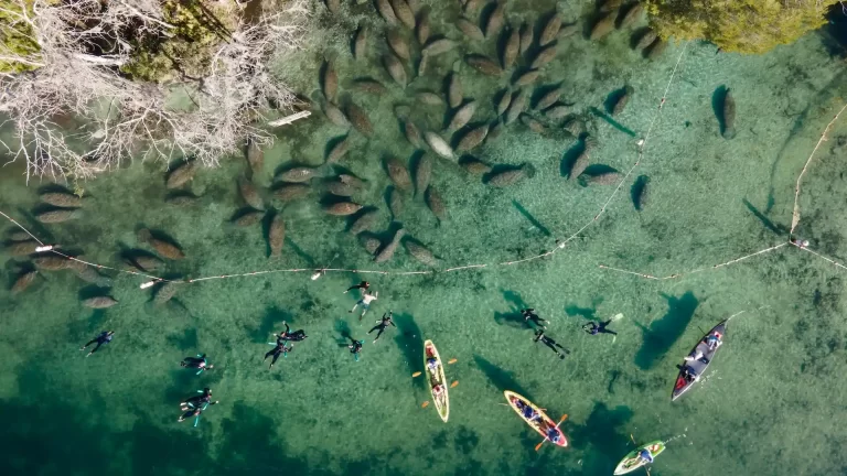 5 destinos de buceo y esnórquel para hacer en Florida