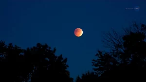 Cómo ver el eclipse lunar total del 14 de marzo de 2025: luna de sangre