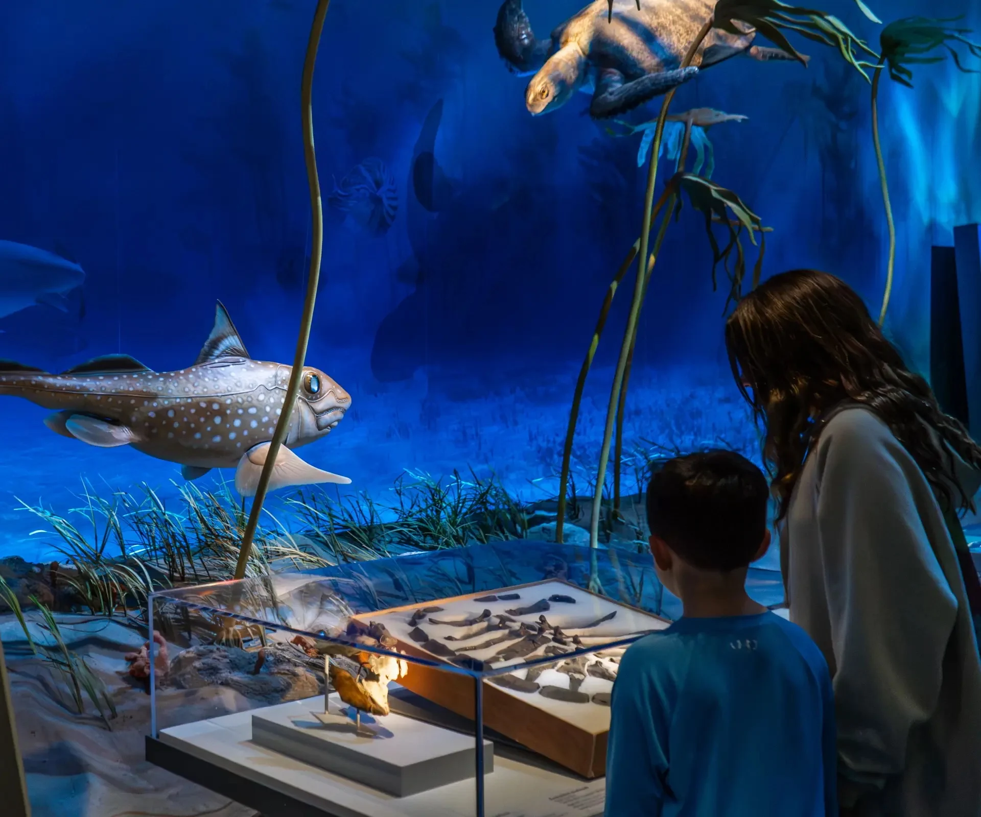 Así será el nuevo museo de dinosaurios en Nueva Jersey