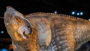 Así será el nuevo museo de dinosaurios en Nueva Jersey
