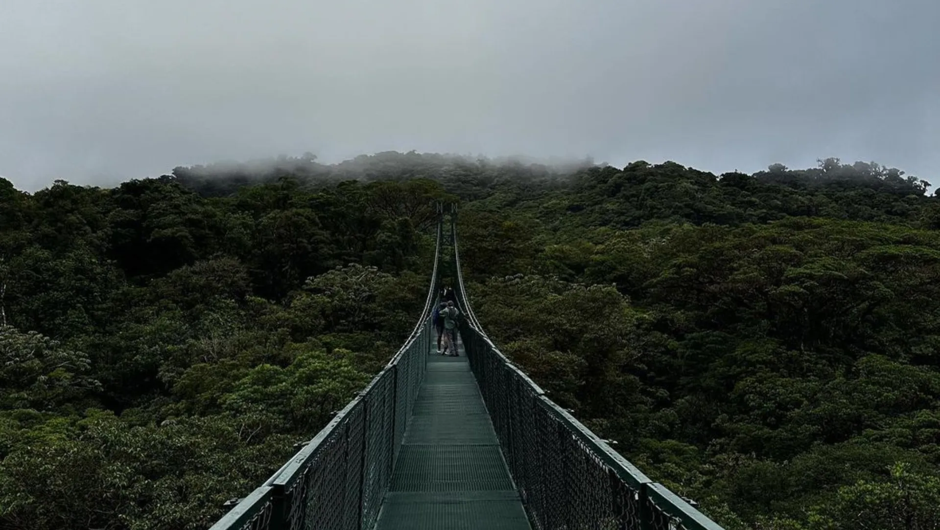 Naturaleza