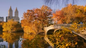 Cuál es la mejor temporada para viajar a Nueva York