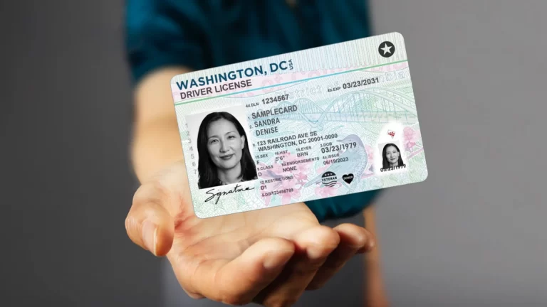 REAL ID: la nueva documentación para viajar en avión en Estados Unidos