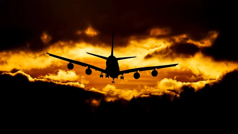 ¿Por qué razones un pasajero puede ser bajado de un avión?