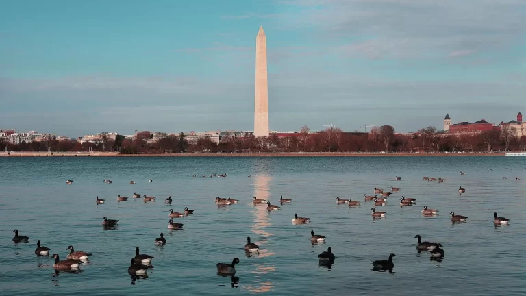 La mejor época del año para viajar a Washington D.C.