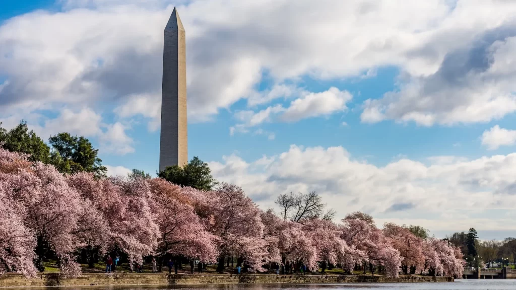 Todo lo que hay que saber del Obelisco de Washington