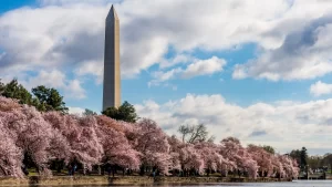 Todo lo que hay que saber del Obelisco de Washington