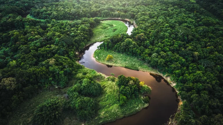 Los ríos más largos del mundo: del Amazonas al Yeniséi