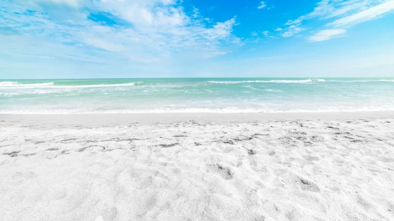 Cómo llegar y qué hacer en Siesta Key, un paraíso en Florida