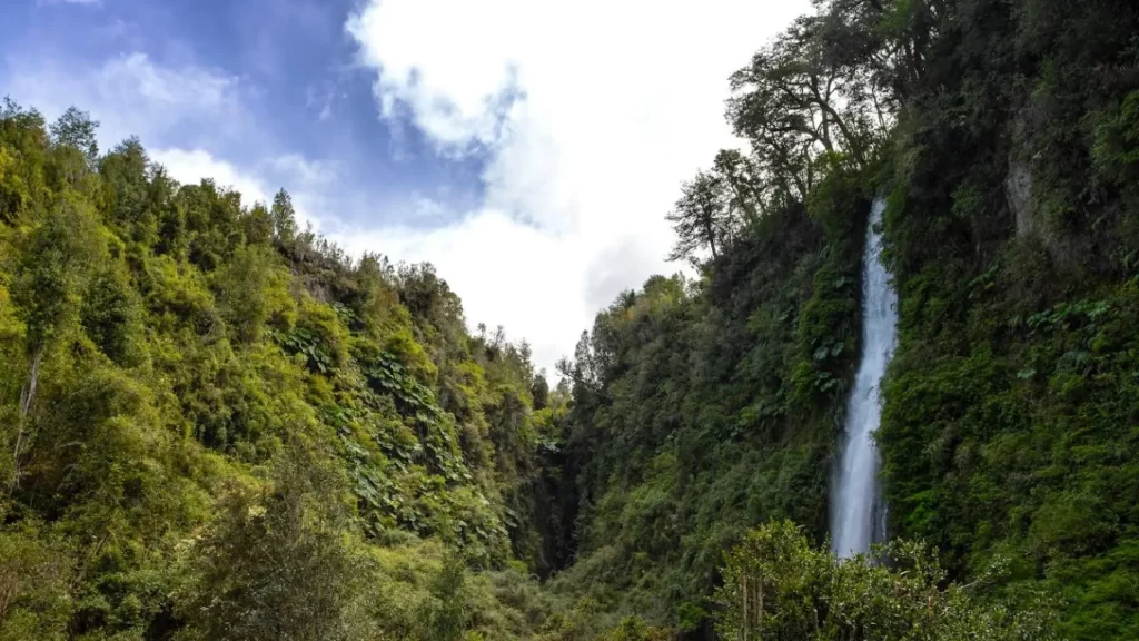Tocoihue: la cascada secreta y mágica para visitar en el sur de Chile