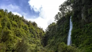 Tocoihue: la cascada secreta y mágica para visitar en el sur de Chile
