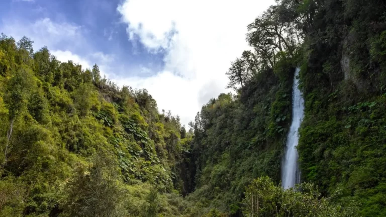 Tocoihue: la cascada secreta y mágica para visitar en el sur de Chile