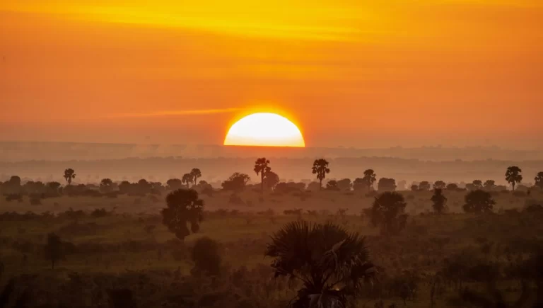10 parques nacionales para visitar en Uganda