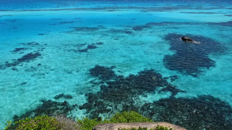 Consejos para viajar a Colombia: clima, vacunas y más