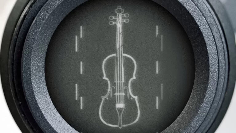 Este es el violín más pequeño del mundo