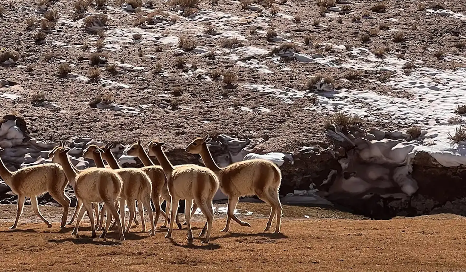 Cono de Arita: una joya escénica en la Puna de Salta