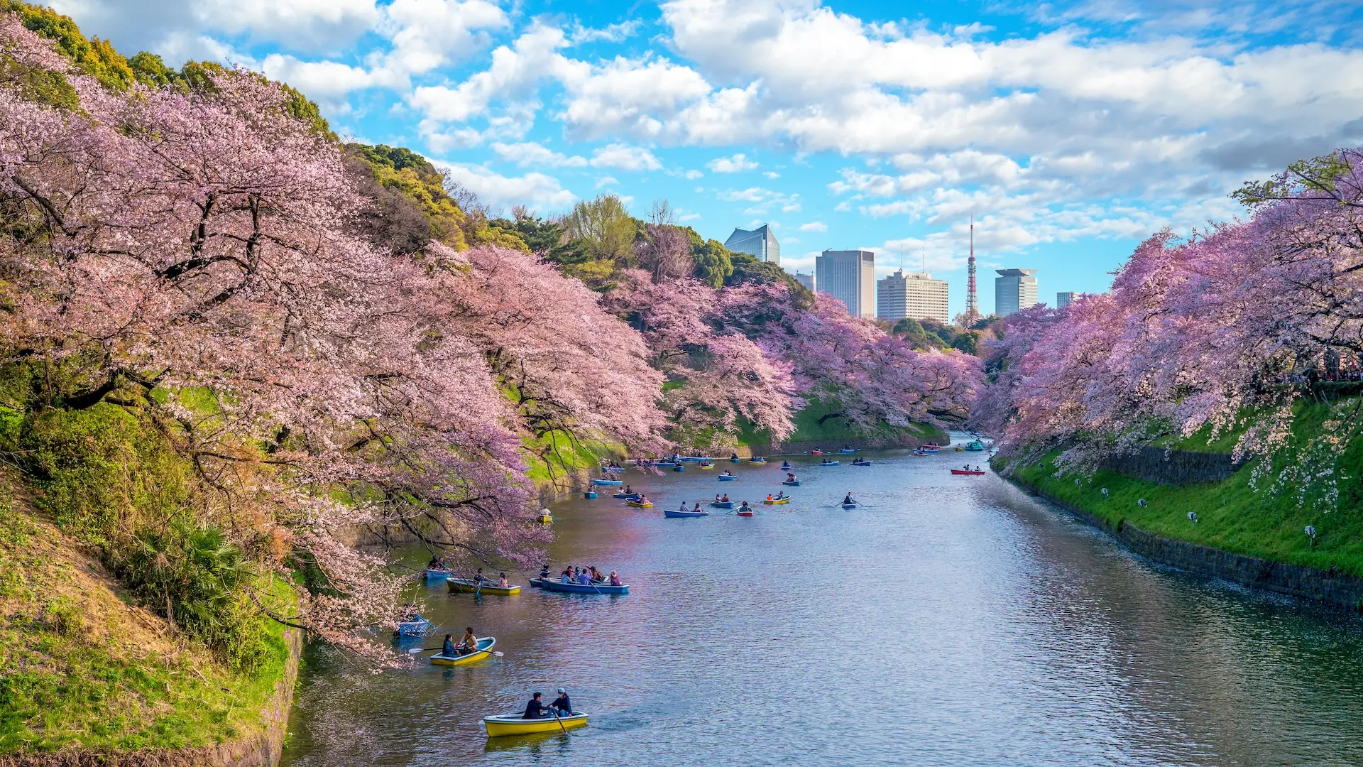 Japón en 10 días: tres ciudades para recorrer y cómo organizar el viaje