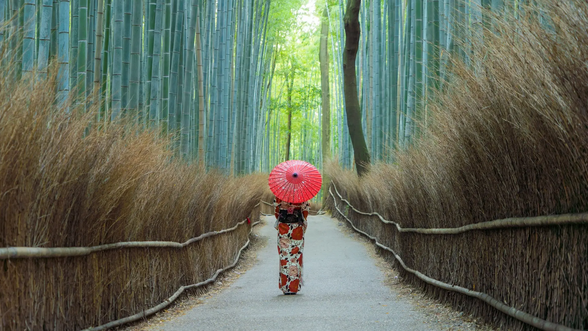Japón en 10 días: tres ciudades para recorrer y cómo organizar el viaje