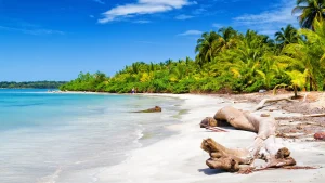 5 imperdibles para hacer en Panamá, más allá del canal